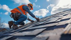 Best Roof Maintenance and Cleaning  in Arbury Hls, IL